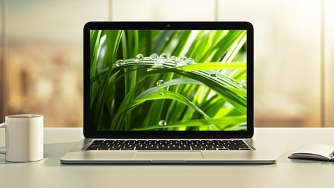 [NEW] Spring Boot 3, Spring 6 &amp; Hibernate for Beginners