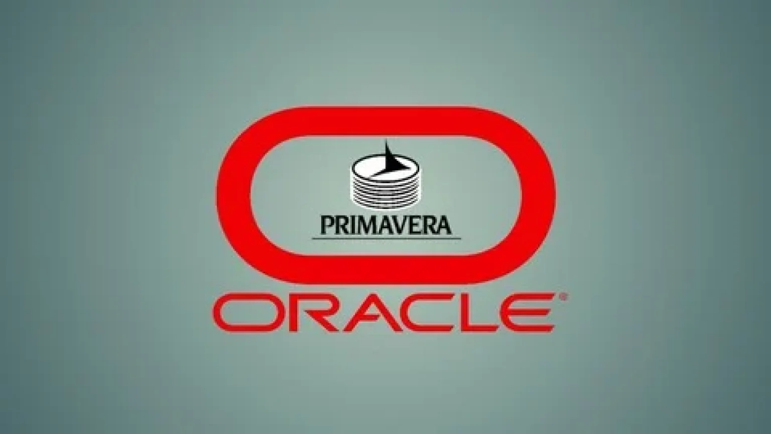 Complete Primavera P6 Diploma ( Basic &amp;Advanced Level)