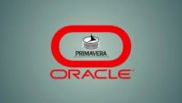Complete Primavera P6 Diploma ( Basic &Advanced Level)