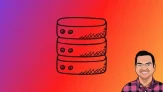 Microsoft SQL – The Complete Guide for Beginners (TSQL)